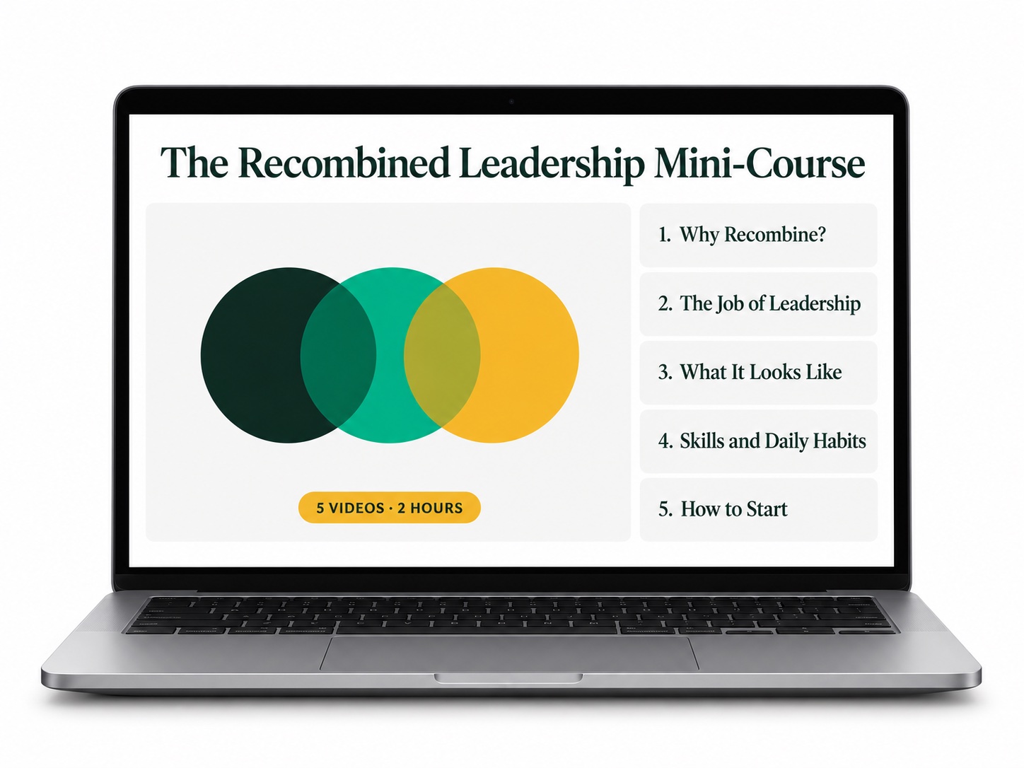 Add The Recombined Leadership Mini-Course (€29 On My Site, €17 Here)
